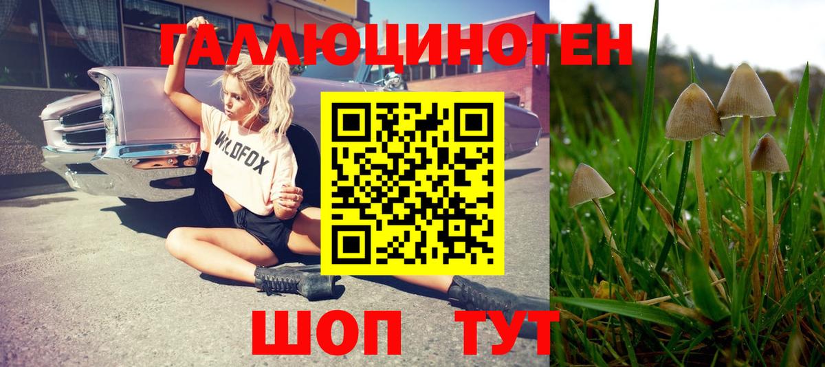 Гатчина  Псилоцибиновые грибы Magic Shrooms  Псилоцибиновые грибы Magic Shrooms  Вход с VPN 