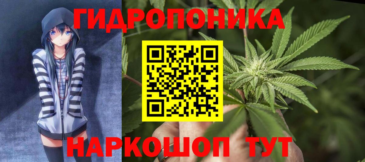 Марихуана конопля  Вход с VPN  Шишки марихуана марихуана  Гатчина 